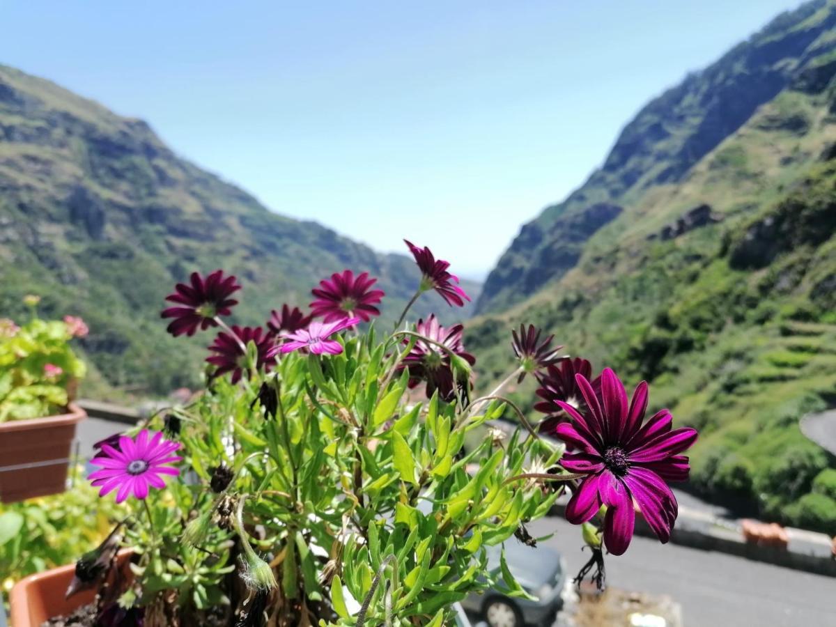 Green Valley House Madeira Ribeira Brava Kültér fotó