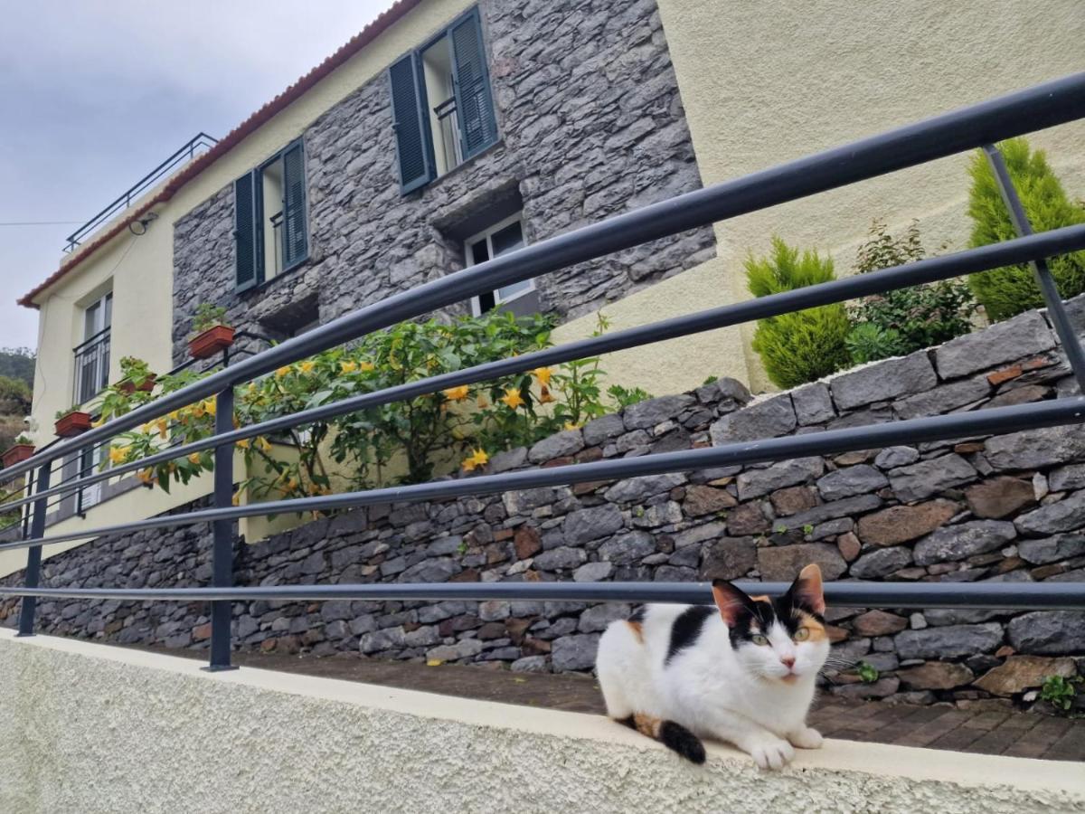 Green Valley House Madeira Ribeira Brava Kültér fotó